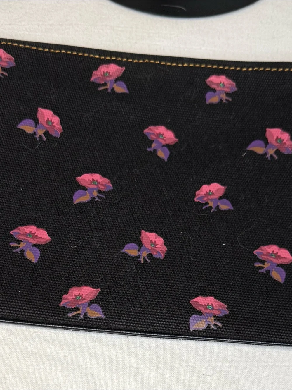 Coach disney dark